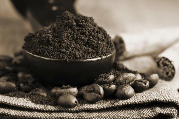 9 astuces vraiment efficace pour combattre la cellulite 8 cellulite café