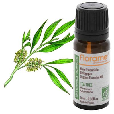 5 astuces beauté que vous ne connaissiez pas 1 huile_essentielles-arbre-a-the