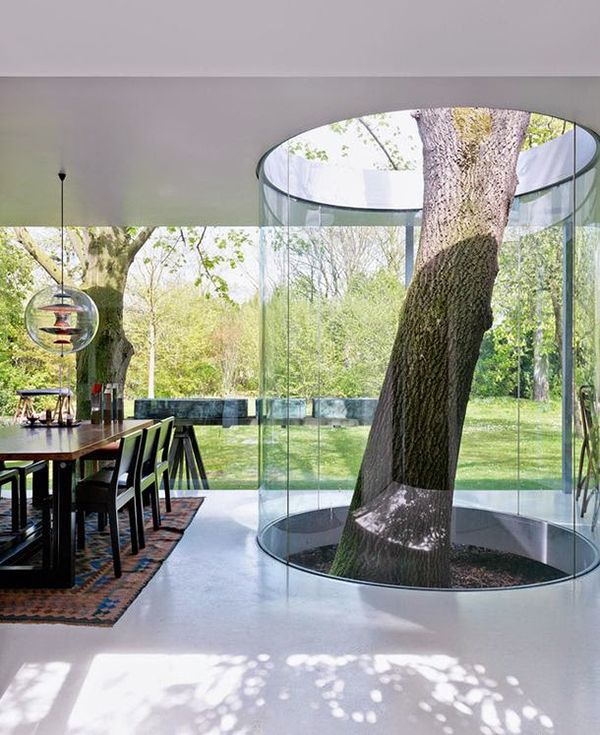 20 choses incroyables que tout le monde aimerait avoir dans sa maison 5 dd3a8fb873e1cddf382c3bc1c568d437