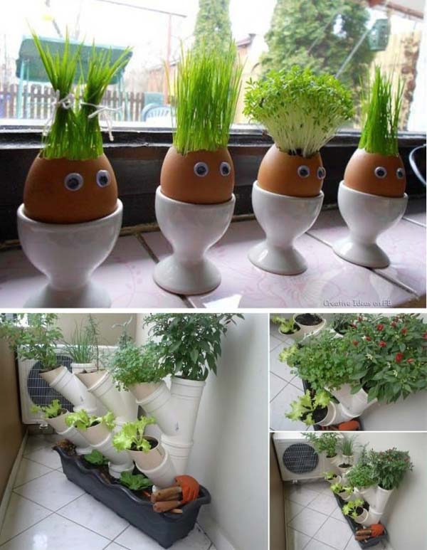 Mini-Indoor-Gardening-10