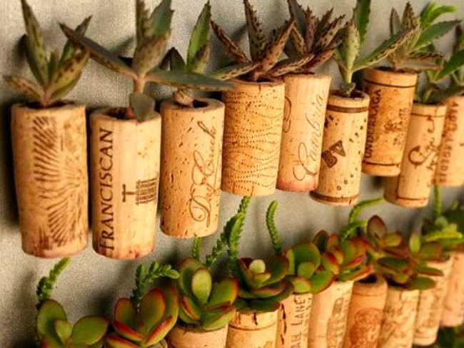 8 façons de réutiliser vos déchets en cuisine 4 14-DFY-Tiny-Gardens-Wine-Cork