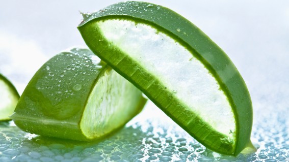 beautistas-aloe-vera-cover