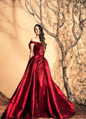 Les 50 plus belles robes de princesses 16