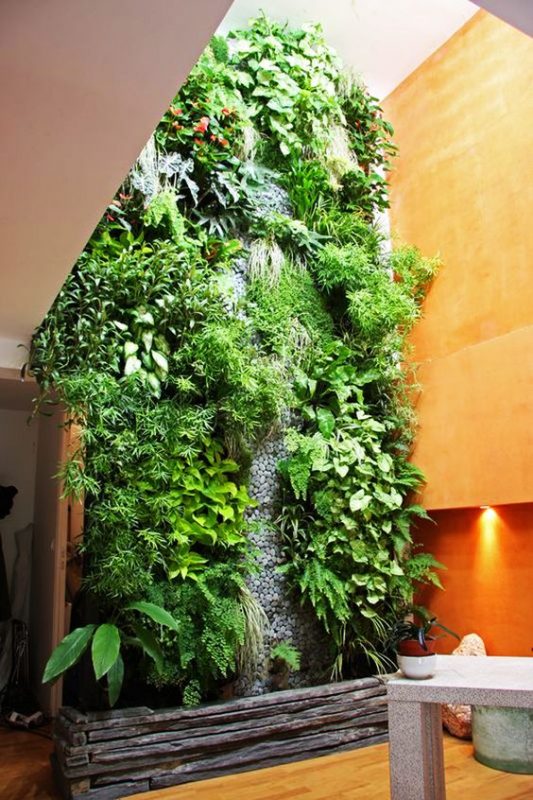 20 idées déco avec un mur végétal 3