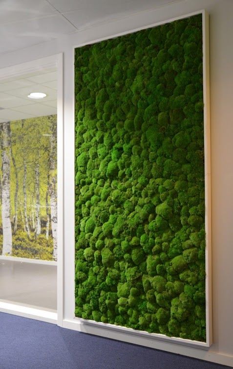 20 idées déco avec un mur végétal 4