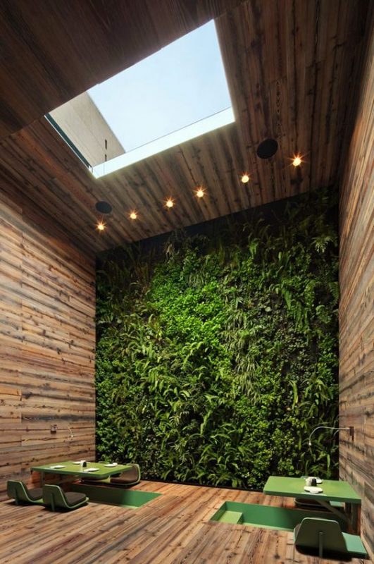 20 idées déco avec un mur végétal 6