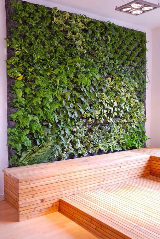 20 idées déco avec un mur végétal 7