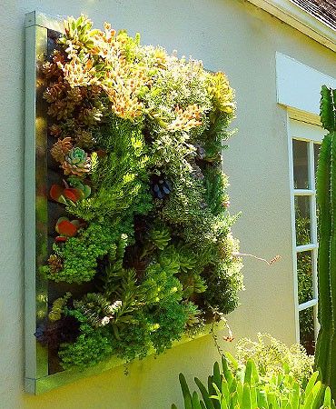 20 idées déco avec un mur végétal 9