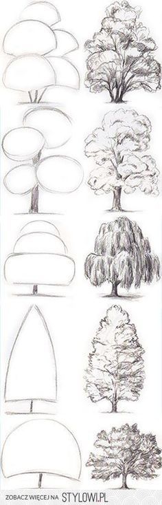 26 idées de dessins d'arbres (& tutos étapes par étapes) 25