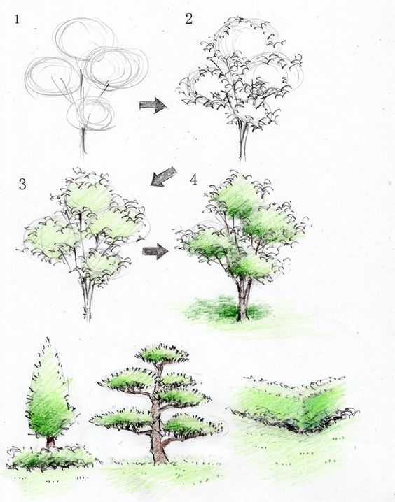 26 idées de dessins d'arbres (& tutos étapes par étapes) 5
