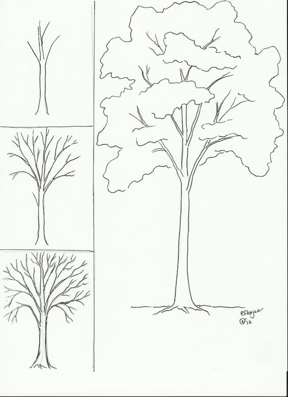 26 idées de dessins d'arbres (& tutos étapes par étapes) 1