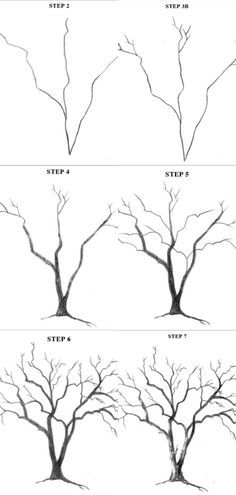 26 idées de dessins d'arbres (& tutos étapes par étapes) 21