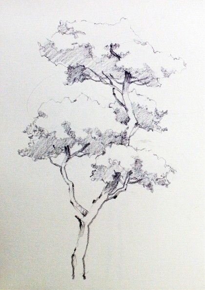 25 top idées de dessin & de peinture d'arbre 22