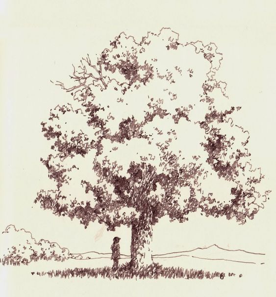 25 top idées de dessin & de peinture d'arbre 23