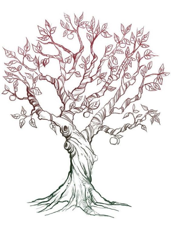 25 top idées de dessin & de peinture d'arbre 24
