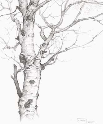 25 top idées de dessin & de peinture d'arbre 25
