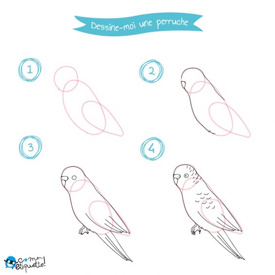 59 tutos pour apprendre à dessiner des animaux 20