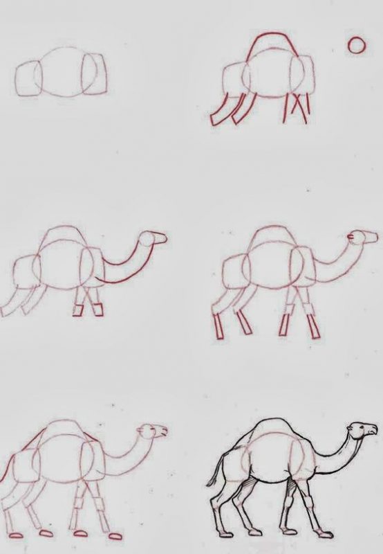 59 tutos pour apprendre à dessiner des animaux 15