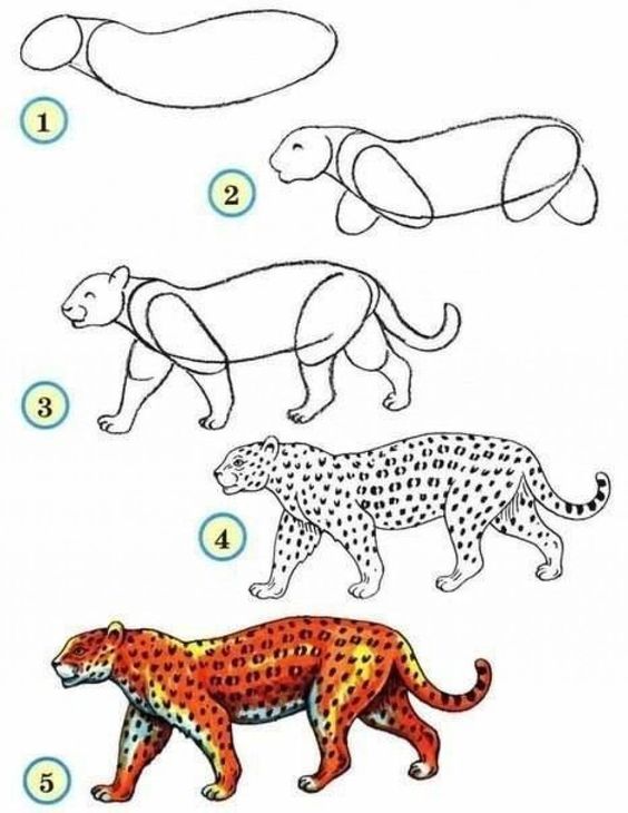 92 tutos dessins mignons étape par étape : pour apprendre le dessin 6