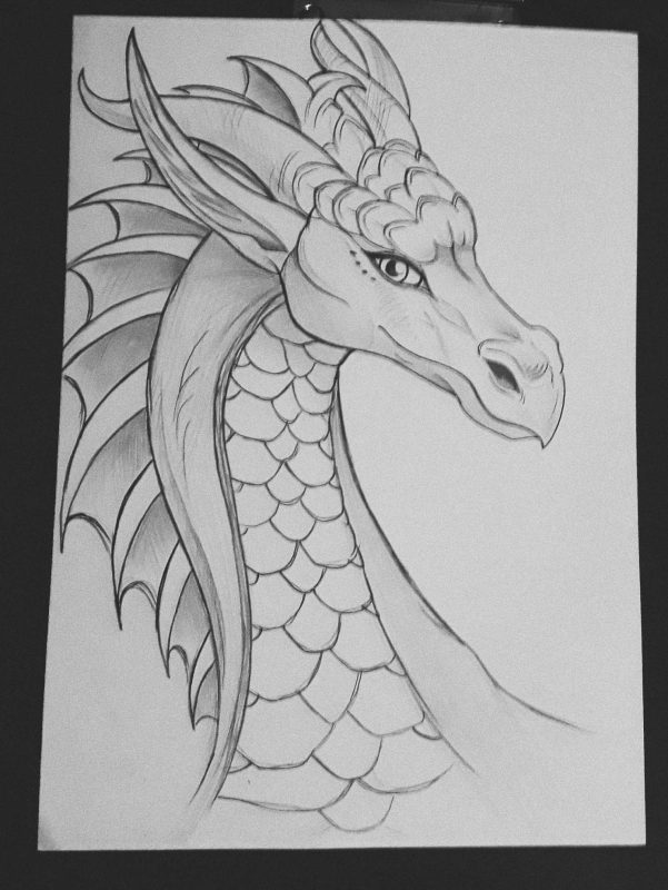100 idées de dessins dragon : Pour apprendre à dessiner un dragon 22
