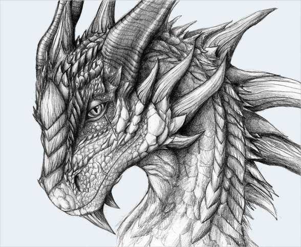 100 idées de dessins dragon : Pour apprendre à dessiner un dragon 27
