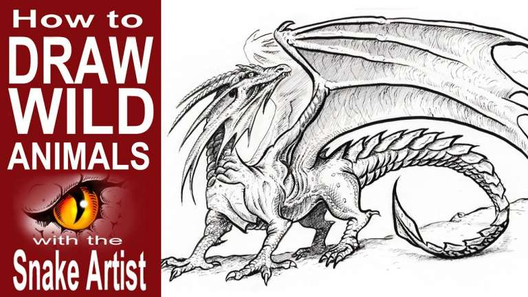 100 idées de dessins dragon : Pour apprendre à dessiner un dragon 33