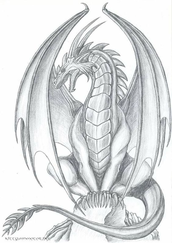100 idées de dessins dragon : Pour apprendre à dessiner un dragon 73