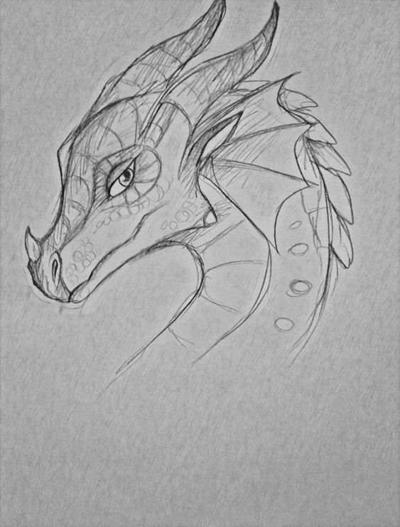 100 idées de dessins dragon : Pour apprendre à dessiner un dragon 86
