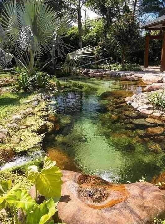 19 idées de piscines naturelles filtrées par les plantes 12