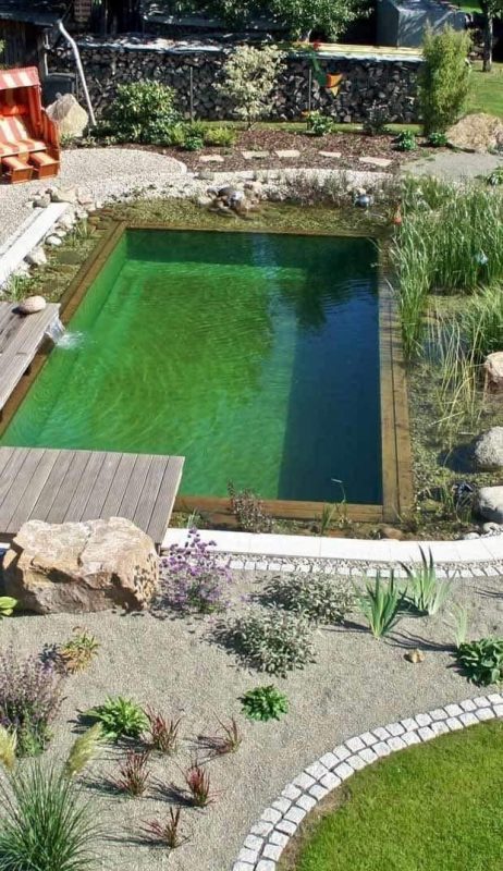 19 idées de piscines naturelles filtrées par les plantes 16
