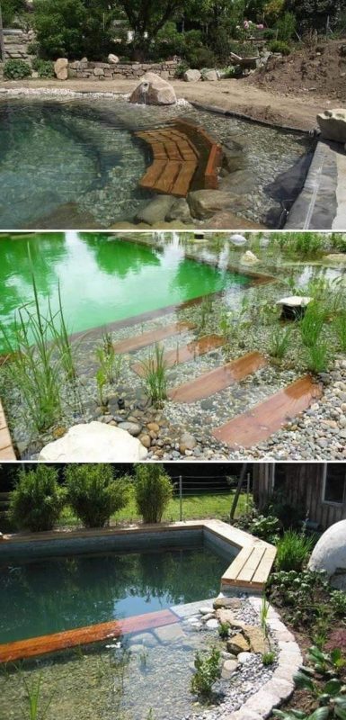 19 idées de piscines naturelles filtrées par les plantes 18