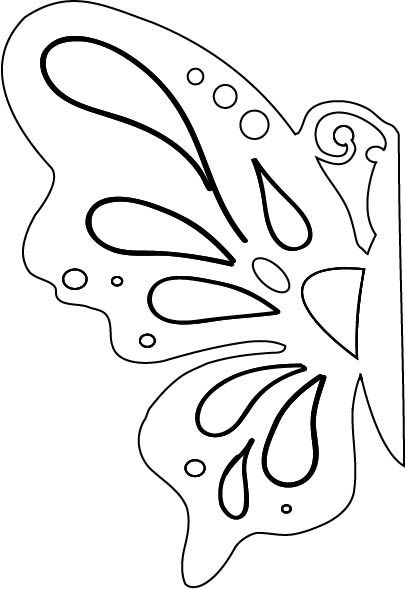 53 Dessins papillon à Imprimer & à Colorier 11