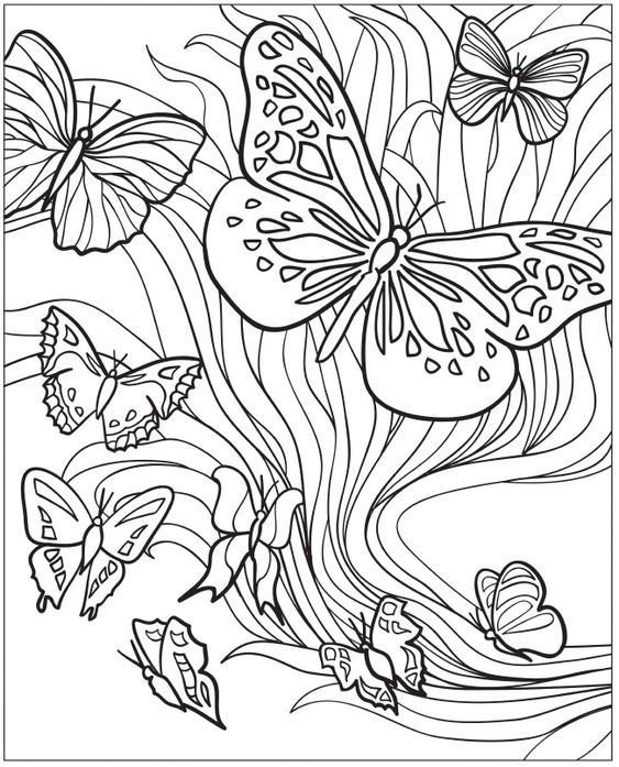 53 Dessins papillon à Imprimer & à Colorier 16