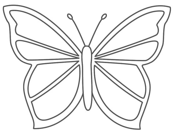 53 Dessins papillon à Imprimer & à Colorier 24