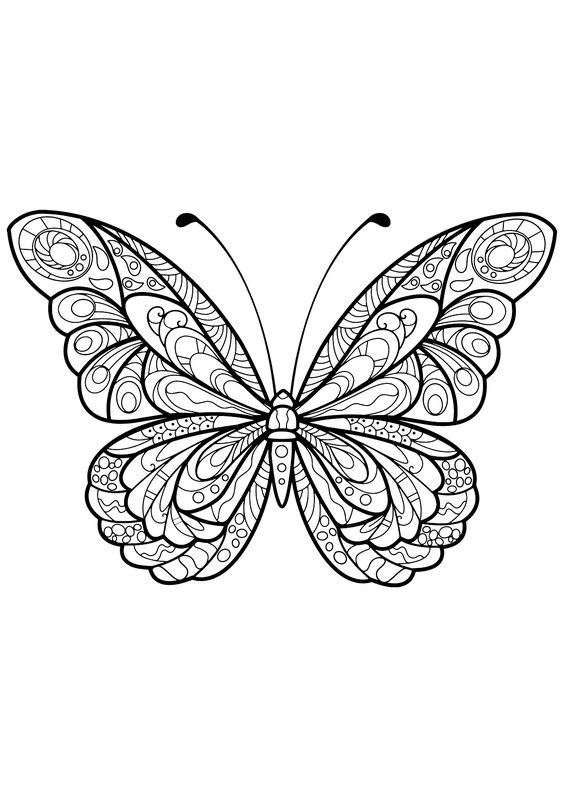 53 Dessins papillon à Imprimer & à Colorier 28
