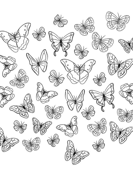 53 Dessins papillon à Imprimer & à Colorier 32