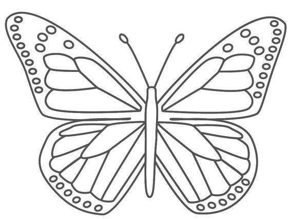 53 Dessins papillon à Imprimer & à Colorier 33