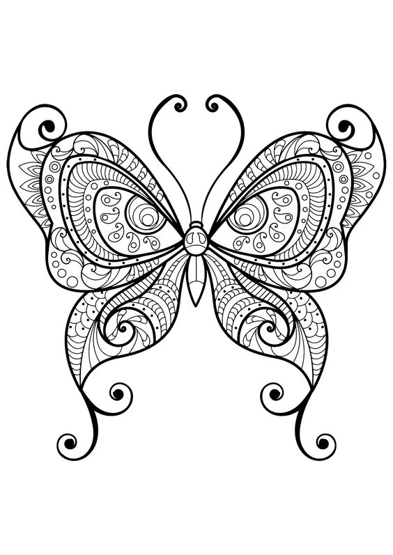 53 Dessins papillon à Imprimer & à Colorier 37