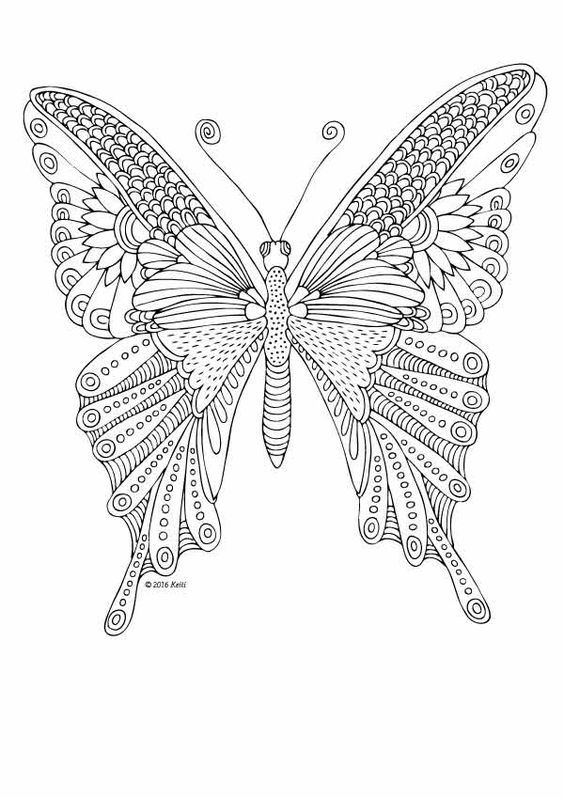53 Dessins papillon à Imprimer & à Colorier 49