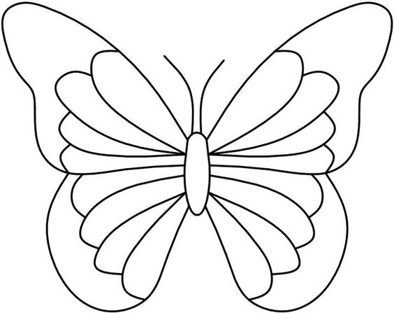 53 Dessins papillon à Imprimer & à Colorier 6
