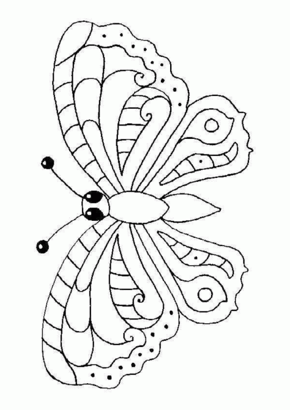 Coloriage Papillon : 32 Dessins De Papillon à Imprimer et à Colorier 26