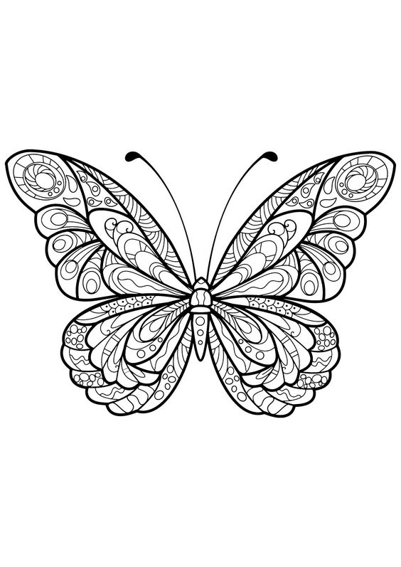 Coloriage Papillon : 32 Dessins De Papillon à Imprimer et à Colorier 12