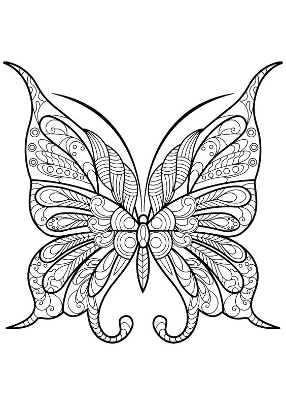Coloriage Papillon : 32 Dessins De Papillon à Imprimer et à Colorier 14