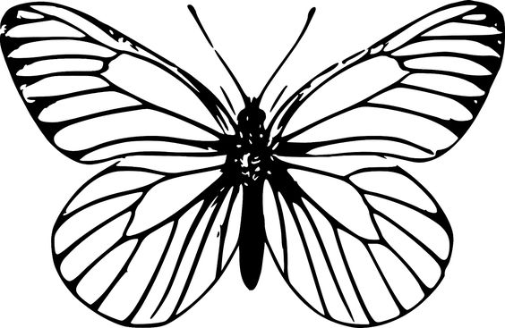 Coloriage Papillon : 32 Dessins De Papillon à Imprimer et à Colorier 19
