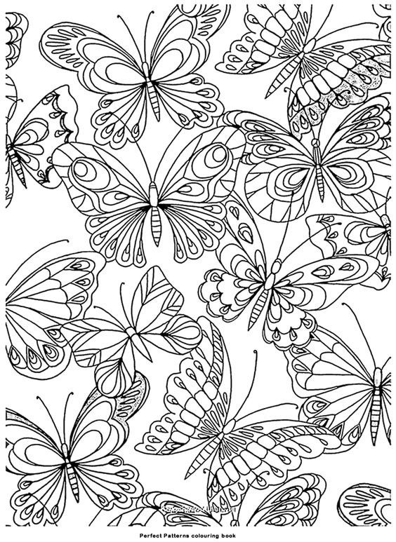 Coloriage Papillon : 32 Dessins De Papillon à Imprimer et à Colorier 20