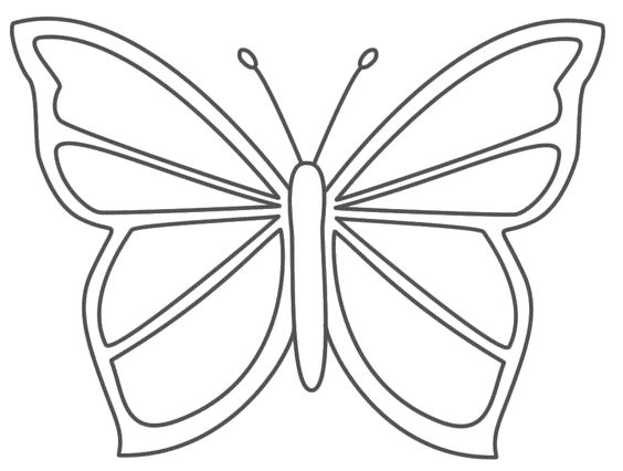 Coloriage Papillon : 32 Dessins De Papillon à Imprimer et à Colorier 21