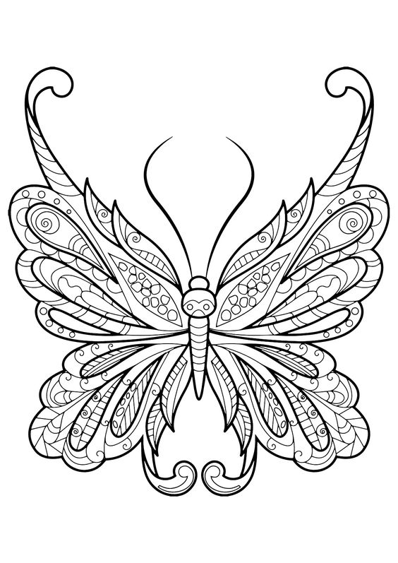 Coloriage Papillon : 32 Dessins De Papillon à Imprimer et à Colorier 22