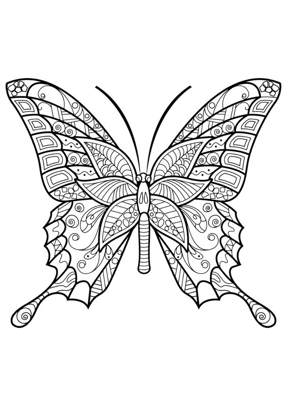 Coloriage Papillon : 32 Dessins De Papillon à Imprimer et à Colorier 4