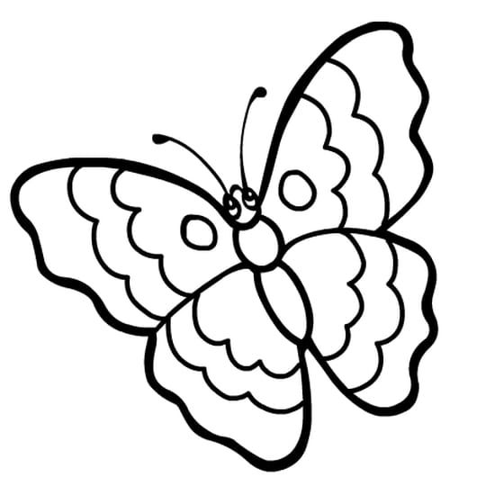 Coloriage Papillon : 32 Dessins De Papillon à Imprimer et à Colorier 5