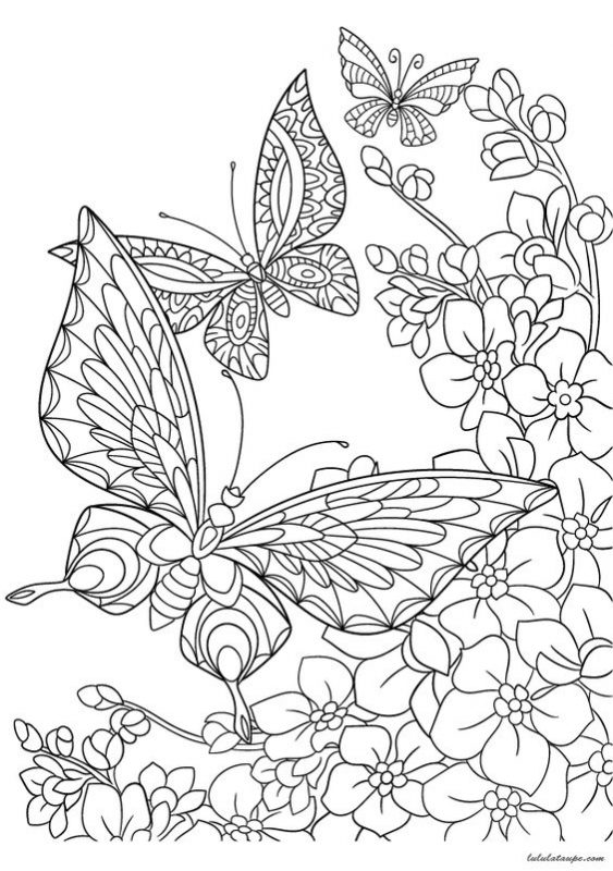 Coloriage Papillon : 32 Dessins De Papillon à Imprimer et à Colorier 6